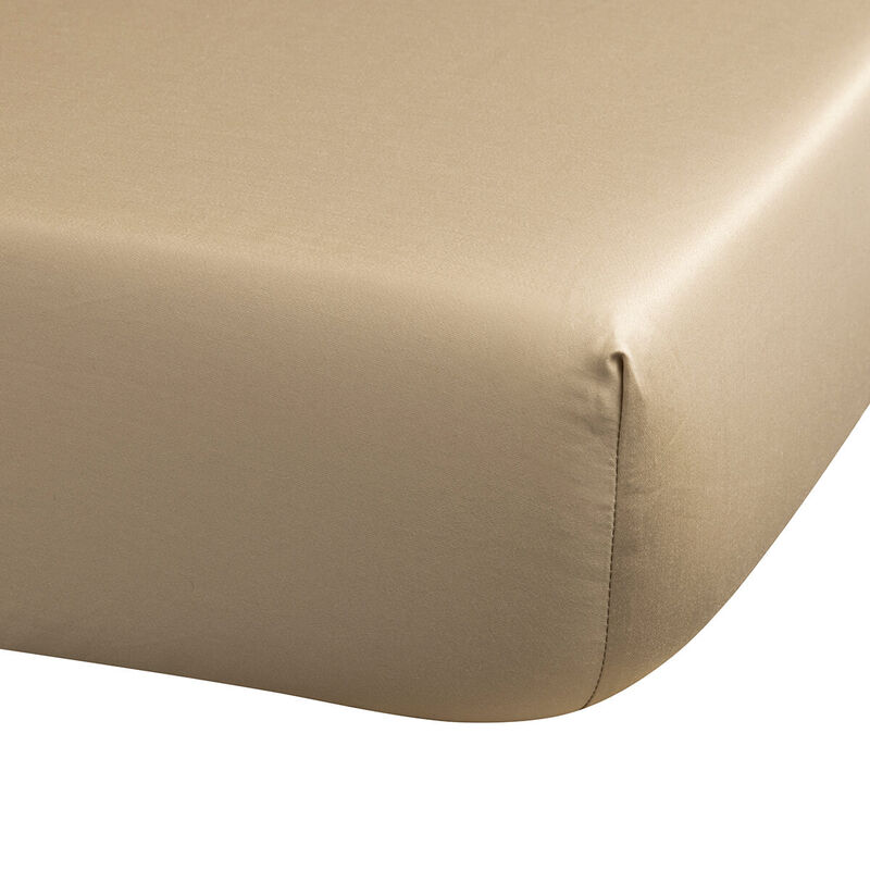 Drap housse Arabesque Sepia 90X200X35 100% coton, , hi-res
