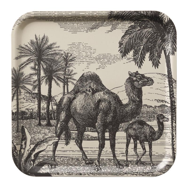 Plateau Dune Dromadaire Argile 38x38 100% Bois, , hi-res image number 0