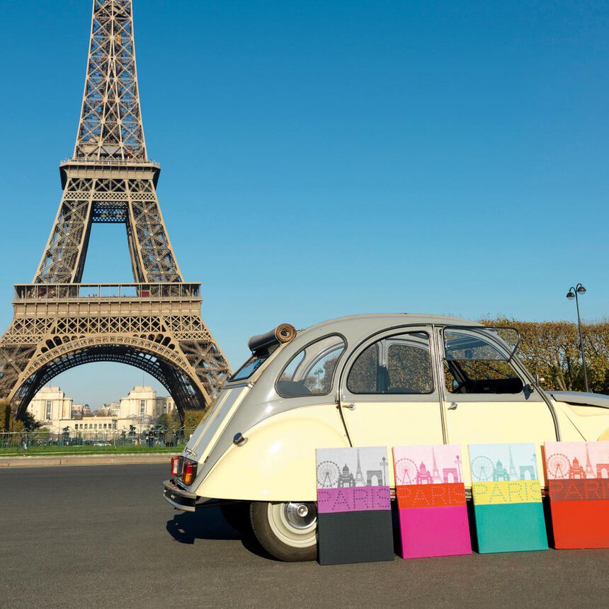 Torchon Paris Lumi&egrave;re Coton, , hi-res image number 4