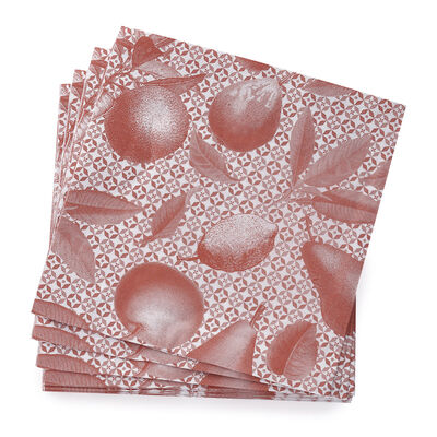 Serviette papier Arri&egrave;re-pays Coton