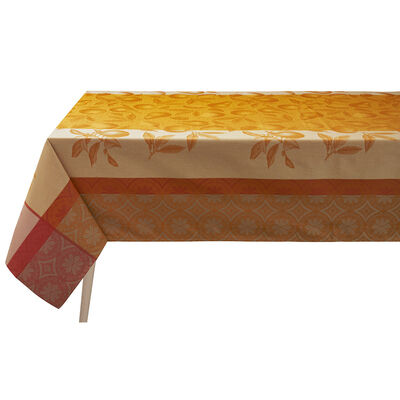 Nappe enduite Arri&egrave;re-pays Coton