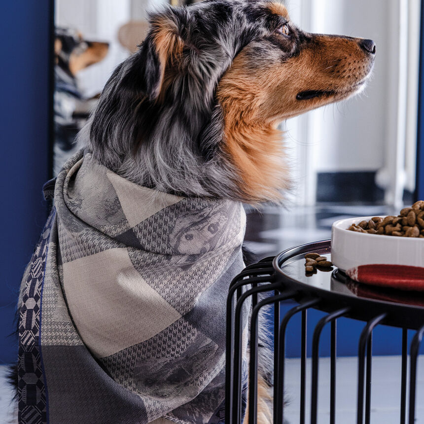 Torchon Truffes Chartreux 60x80 100% coton, , hi-res image number 1