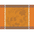 Set de table enduit Manor lane Coloquinte 50x36 100% coton, longues fibres, , hi-res image number 1