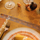 Set de table enduit Manor lane Coloquinte 50x36 100% coton, longues fibres, , hi-res image number 2