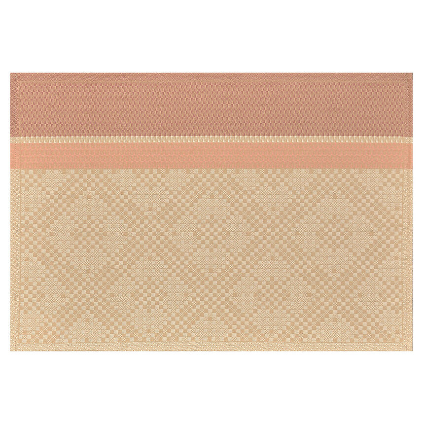 Set de table enduit Essentiel Graphique Terre 50x36 100% coton, , hi-res image number 0