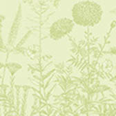 Torchon Blooming Coton, , swatch