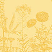 Torchon Blooming Coton, , swatch